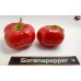 ROCOTO RED  