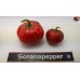 ROCOTO RED  
