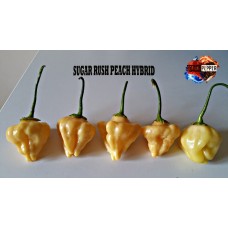 SUGAR RUSH PEACH *HYBRID*