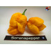 TRINIDAD SCORPION YELLOW ISOLATO