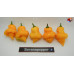 TRINIDAD SEASONING PIMENTO YELLOW ISOLATO